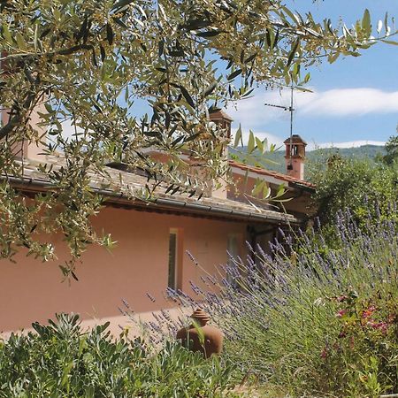 Tuscany Roses Arezzo Esterno foto