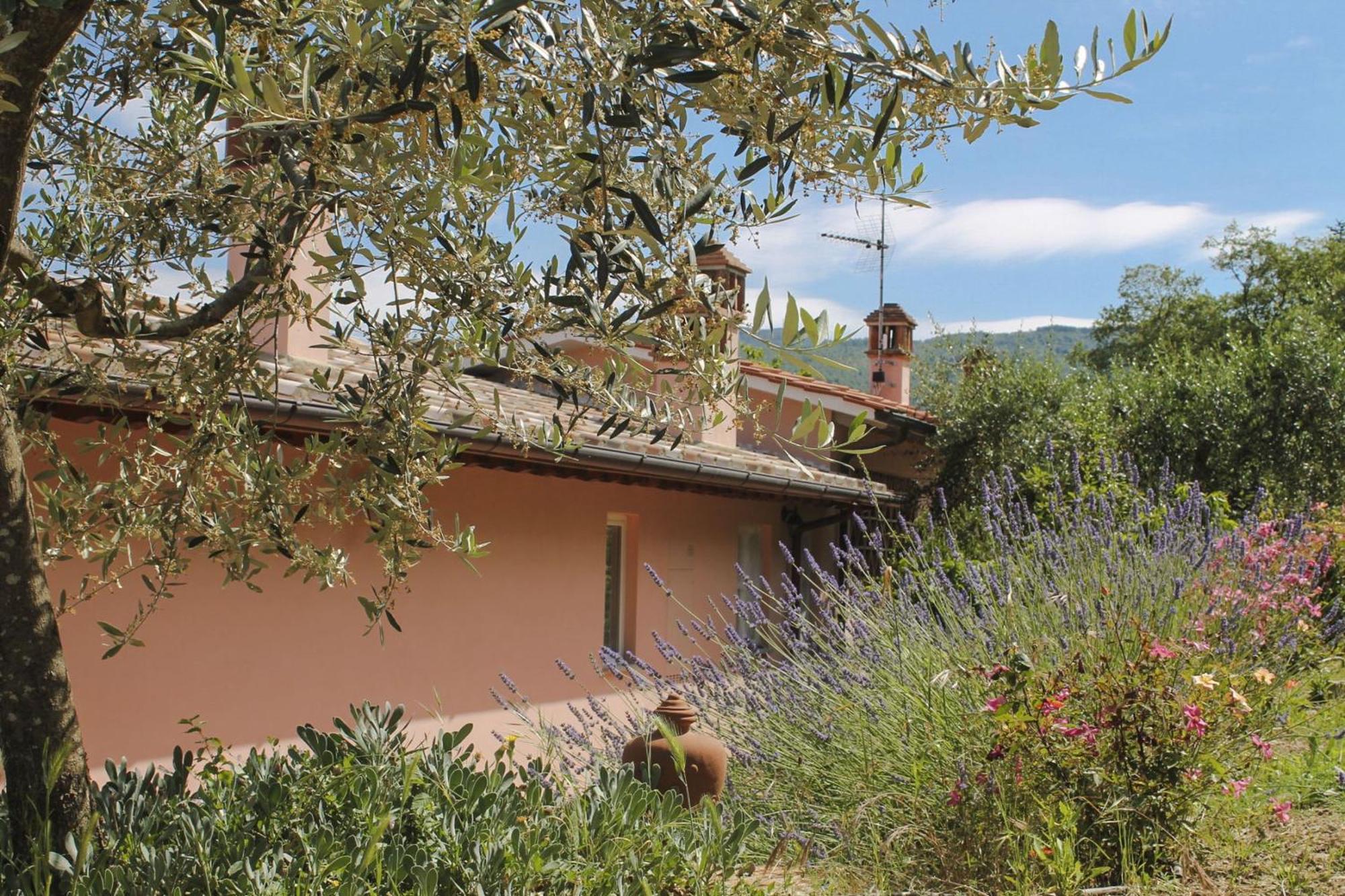 Tuscany Roses Arezzo Esterno foto