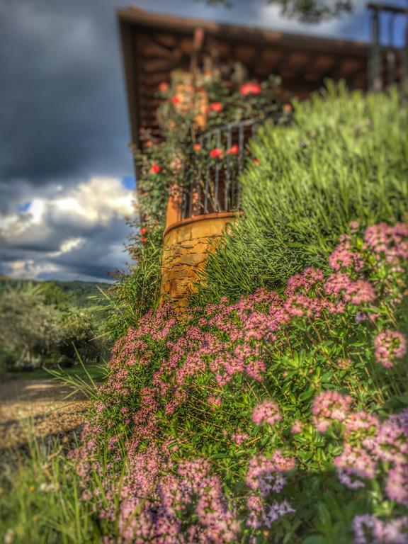 Tuscany Roses Arezzo Esterno foto